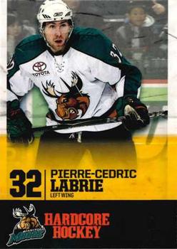 2009-10 Manitoba Moose (AHL) #NNO Pierre-Cedric Labrie Front