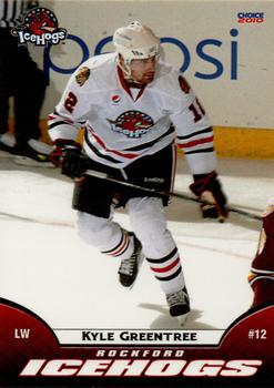 2009-10 Choice Rockford IceHogs (AHL) #17 Kyle Greentree Front