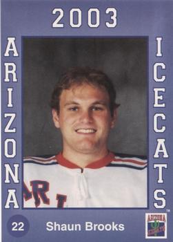 2002-03 Arizona Icecats (ACHA) #NNO Shaun Brooks Front