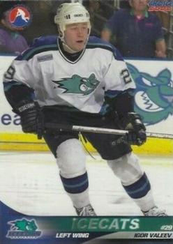 2001-02 Choice Worcester IceCats (AHL) #6 Igor Valeev Front