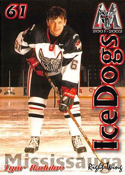 2001-02 Tim Hortons Mississauga IceDogs (OHL) #NNO Igor Radulov Front