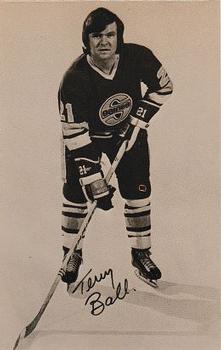 1972-73 Minnesota Fighting Saints (WHA) #NNO Terry Ball Front