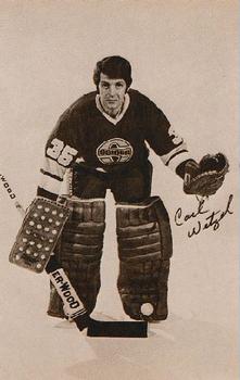 Minnesota Fighting Saints hockey team [1972-1976 WHA] statistics