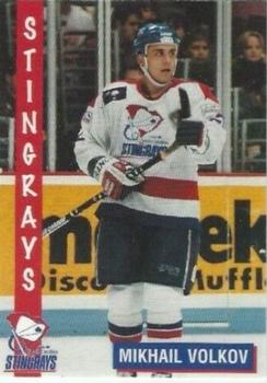 1995-96 South Carolina Stingrays (ECHL) #NNO Mikhail Volkov Front