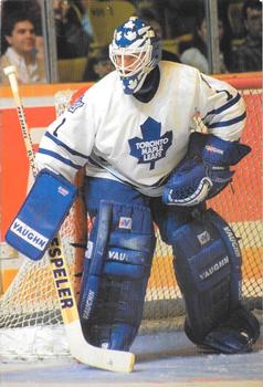 1993-94 Toronto Maple Leafs Action Photos #NNO Damian Rhodes Front
