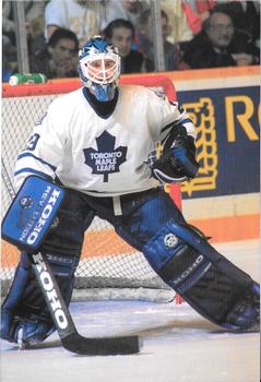 1993-94 Toronto Maple Leafs Action Photos #NNO Felix Potvin Front