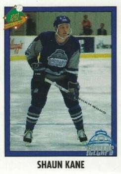 1993-94 RBI Sports Cards Raleigh Icecaps (ECHL) #8 Shaun Kane Front