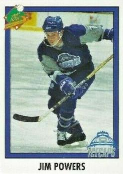 1993-94 RBI Sports Cards Raleigh Icecaps (ECHL) #14 Jim Powers Front