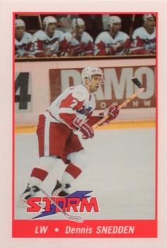 1993-94 Toledo Storm (ECHL) #13 Dennis Snedden Front