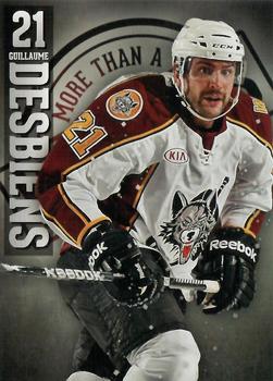 2012-13 Vienna Beef Chicago Wolves (AHL) #14 Guillaume Desbiens Front