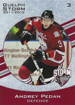 2011-12 M&T Printing Guelph Storm (OHL) #NNO Andrey Pedan Front