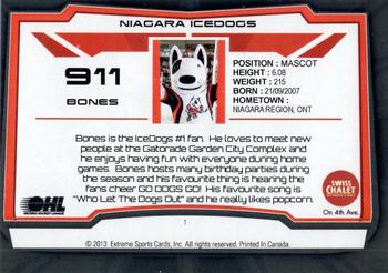 2012-13 Extreme Niagara IceDogs (OHL) #1 Bones Back
