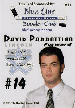 2012-13 Blueline Booster Club Lincoln Stars (USHL) #11 David Parrottino Back