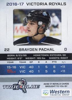 2016-17 True Blue Victoria Royals (WHL) #13 Brayden Pachal Back