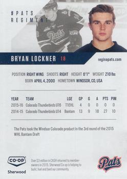 2016-17 Co-op Regina Pats (WHL) #7 Bryan Lockner Back