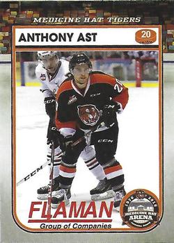 2014-15 Medicine Hat Tigers (WHL) #15 Anthony Ast Front