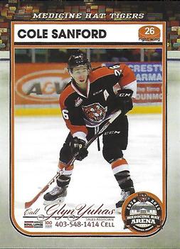2014-15 Medicine Hat Tigers (WHL) #19 Cole Sanford Front
