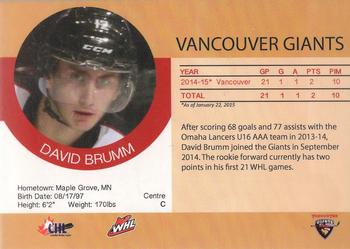 2014-15 Vancouver Giants (WHL) #NNO David Brumm Back