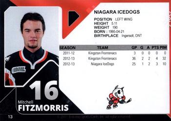 2013-14 Extreme Niagara IceDogs (OHL) #13 Mitchell Fitzmorris Back