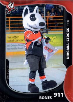 2013-14 Extreme Niagara IceDogs (OHL) #24 Bones Front