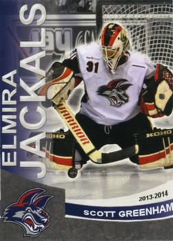 2013-14 Elmira Jackals (ECHL) #12 Scott Greenham Front