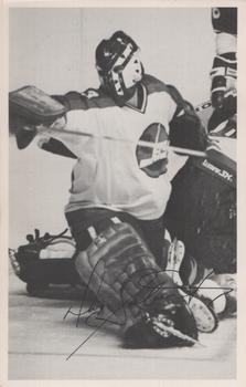1981-82 Winnipeg Jets #17 Doug Soetaert Front