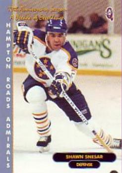 1998-99 Q-Cards Hampton Roads Admirals (ECHL) 10th Anniversary #28 Shawn Snesar Front