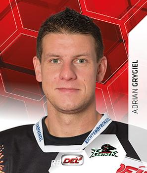 2015-16 Playercards Stickers (DEL) #008 Adrian Grygiel Front