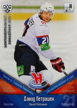 2011-12 Sereal KHL Basic Series - Silver Parallel #СИБ006 David Petrasek Front