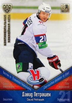 2011-12 Sereal KHL Basic Series - Gold Parallel #СИБ006 David Petrasek Front