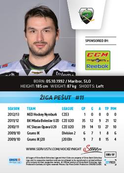 2013-14 Austrian EBEL #137 Ziga Pesut Back