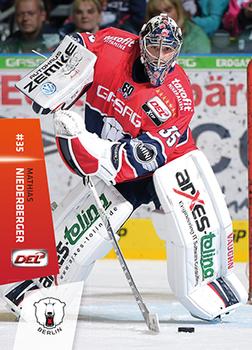 2014-15 Playercards Premium Serie 2 (DEL) #DEL-019 Mathias Niederberger Front
