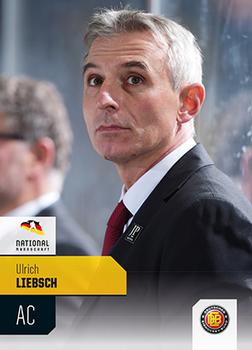 2014-15 Playercards Premium Serie 2 (DEL) #DEL-602 Ulrich Liebsch Front