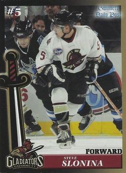 2003-04 Gwinnett Daily Post Gwinnett Gladiators (ECHL) #8 Steve Slonina Front