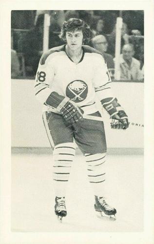 1973-74 Buffalo Sabres Postcards #NNO Paul Terbenche Front