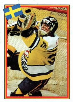 1993 Semic Hockey VM/Jaakiekon MM (Swedish/Finnish) Stickers #1 Peter Aslin Front
