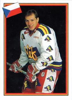 1993 Semic Hockey VM/Jaakiekon MM (Swedish/Finnish) Stickers #102 Robert Svehla Front