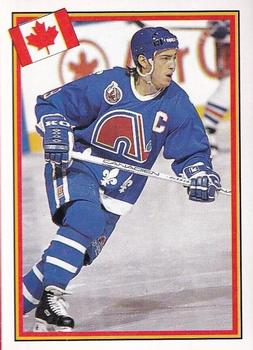 1993 Semic Hockey VM/Jaakiekon MM (Swedish/Finnish) Stickers #206 Joe Sakic Front