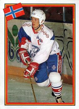 1993 Semic Hockey VM/Jaakiekon MM (Swedish/Finnish) Stickers #231 Petter Salsten Front