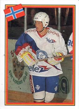 1993 Semic Hockey VM/Jaakiekon MM (Swedish/Finnish) Stickers #234 Svein Norstebo Front