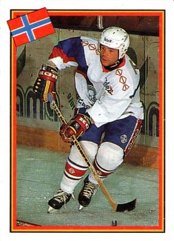 1993 Semic Hockey VM/Jaakiekon MM (Swedish/Finnish) Stickers #245 Arne Billkvam Front