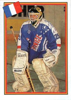 1993 Semic Hockey VM/Jaakiekon MM (Swedish/Finnish) Stickers #249 Petri Ylonen Front