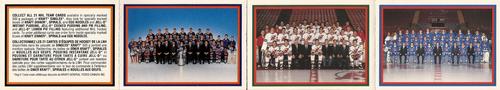 1990-91 Kraft - Panels #97 / 102 / 107 Album Order / Edmonton Oilers / New Jersey Devils / Quebec Nordiques Front
