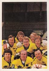 1974-75 Williams Hockey (Swedish) #319 Tre Kroner Front