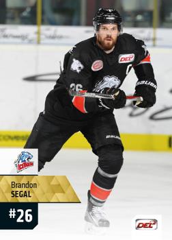 2017-18 Playercards (DEL) #DEL-445 Brandon Segal Front