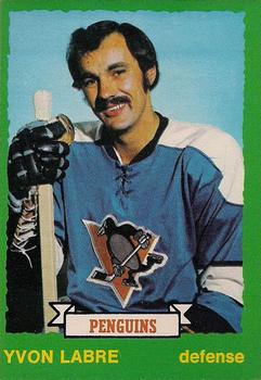1973-74 O-Pee-Chee - Light Backs #247 Yvon Labre Front
