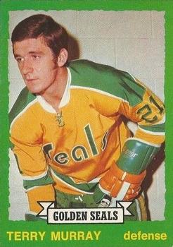 1973-74 O-Pee-Chee - Light Backs #259 Terry Murray Front