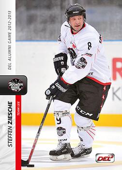 2013-14 Playercards Inside (DEL) #30 Steffen Ziesche Front