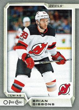 2018-19 O-Pee-Chee - Silver #289 Brian Gibbons Front