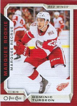 2018-19 O-Pee-Chee - Red #546 Dominic Turgeon Front